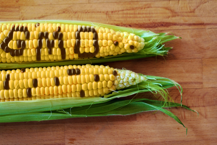 common-foods-that-have-gmo